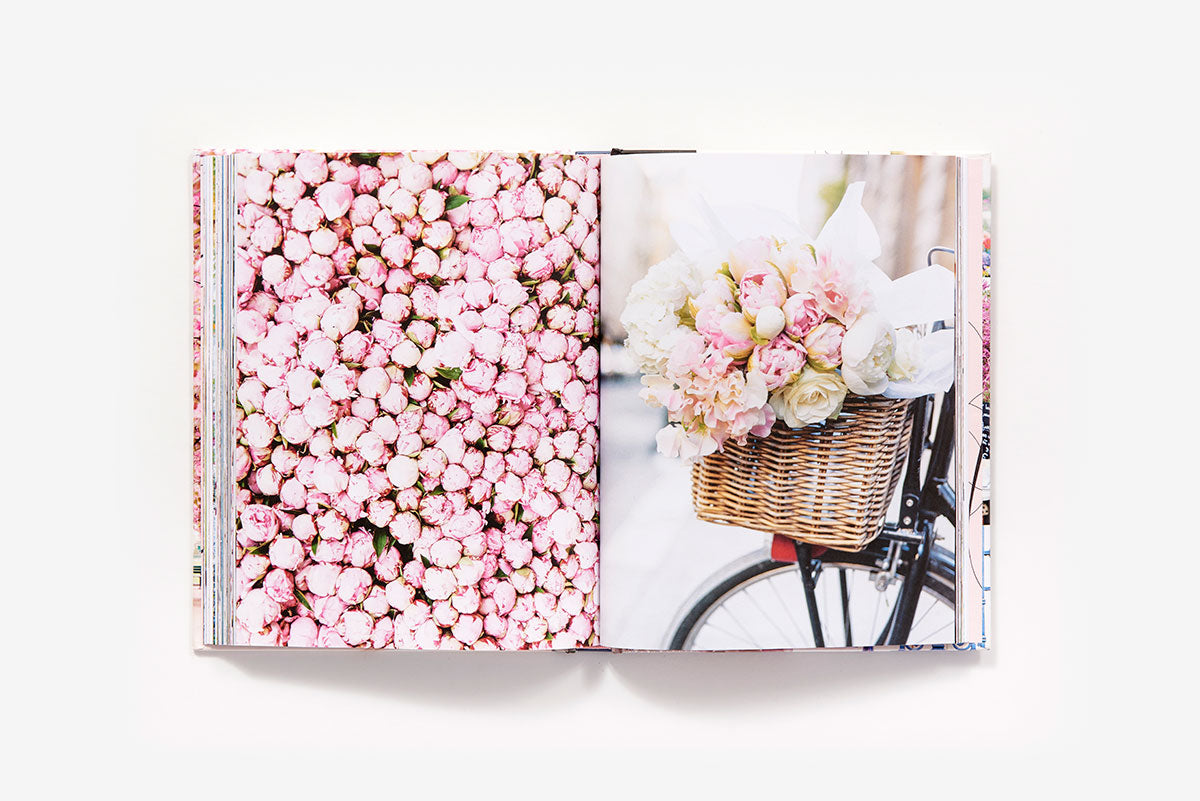 paris in bloom