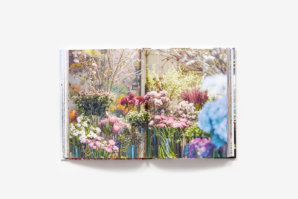 new york in bloom