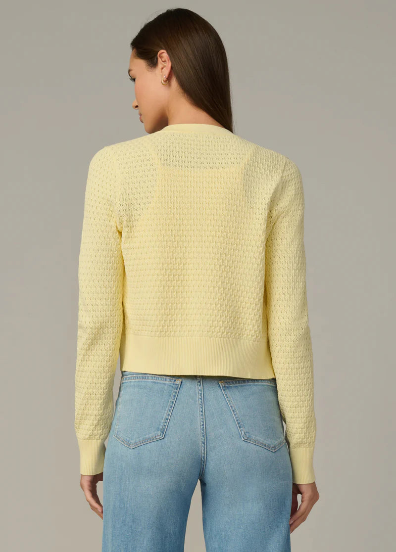 THE POINTELLE DANI CARDIGAN