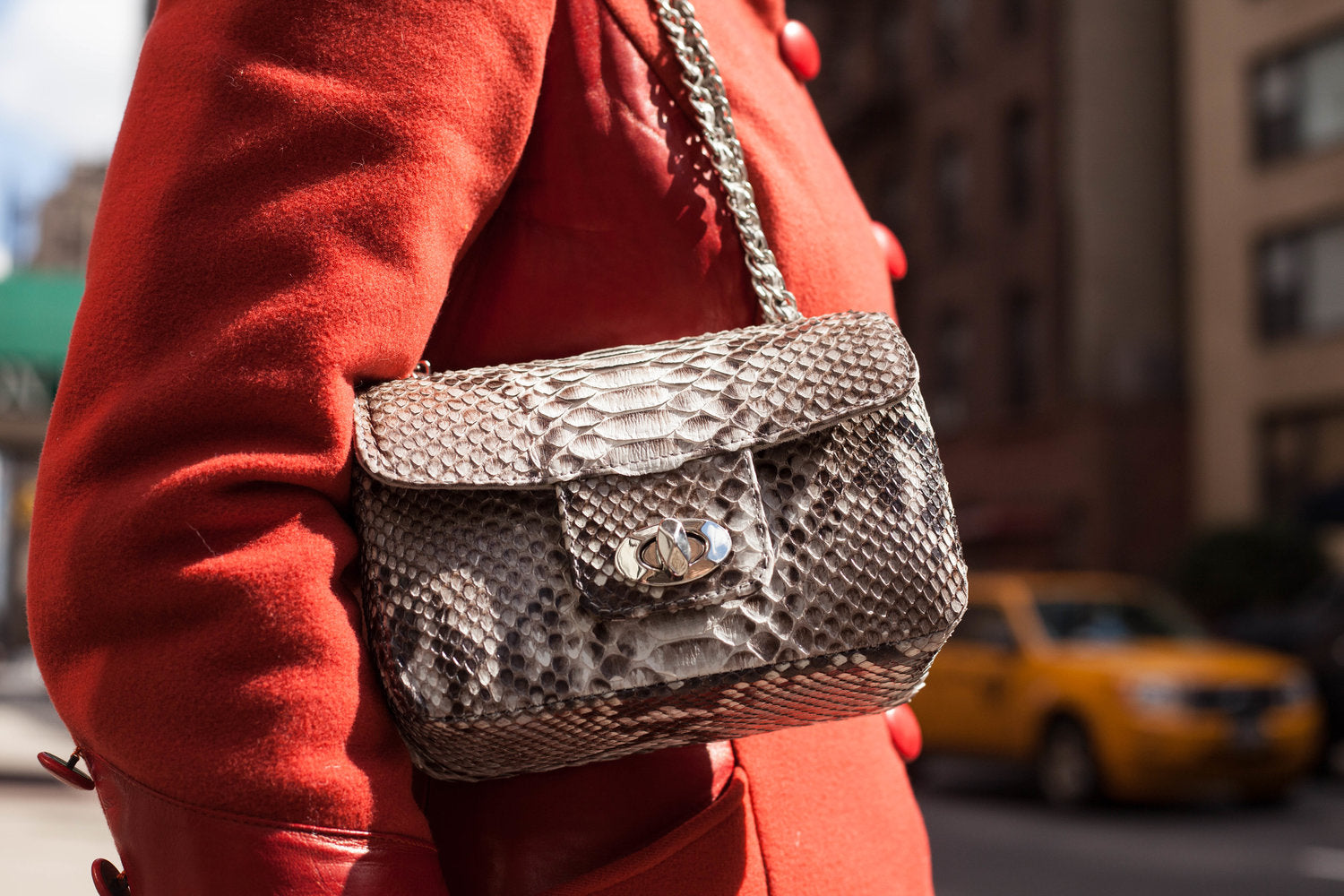 Chanel Python Bag 2018 PYTHON SHOULDER BAG