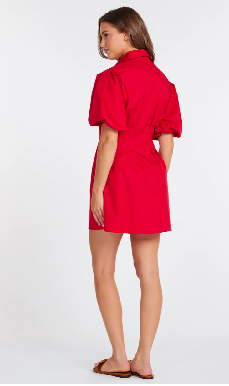 JACQUELINE BUBBLE SLEEVE DRESS