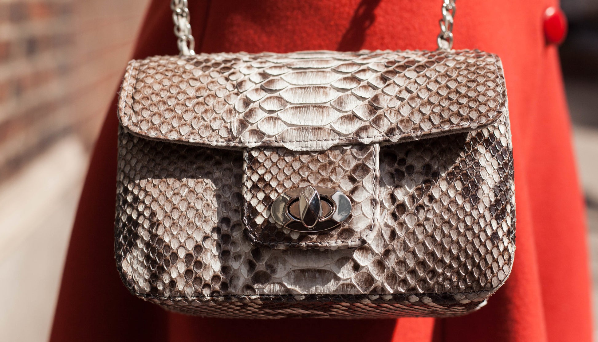 PYTHON SHOULDER BAG – Nobelle - Main Image
